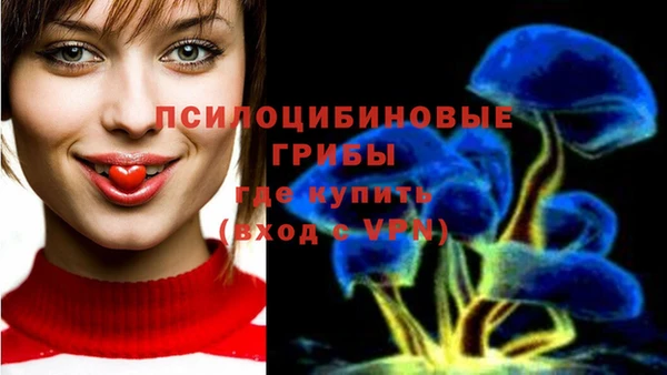 трава Баксан